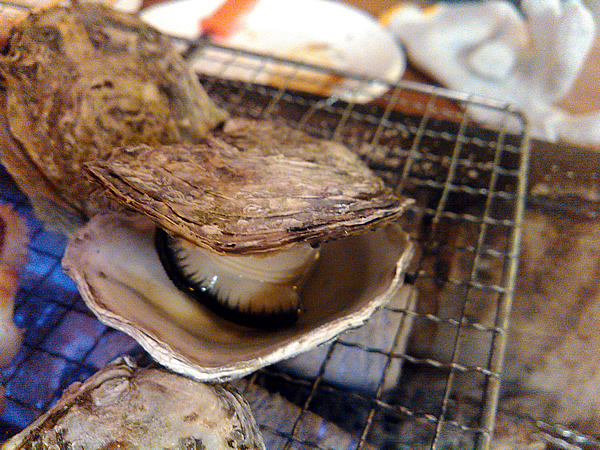 食べごろになると牡蠣のふたがパカっと開きます